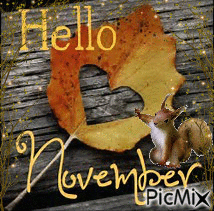 Hello November! - GIF เคลื่อนไหวฟรี