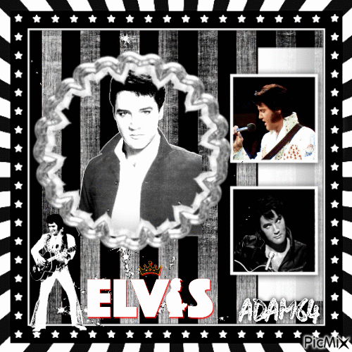Elvis - Black & white - GIF animado grátis