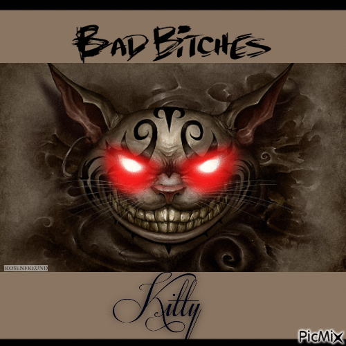 Bad Kitty! - GIF animé gratuit