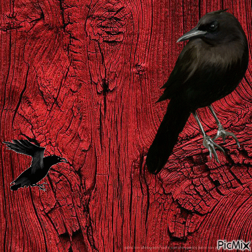 Pájaros en madera roja - GIF animate gratis