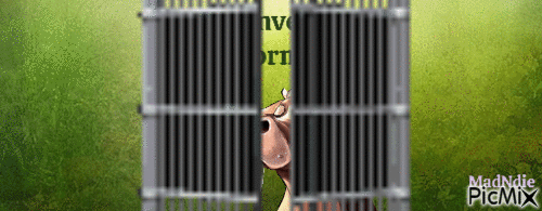 bannière pour blog - Zdarma animovaný GIF