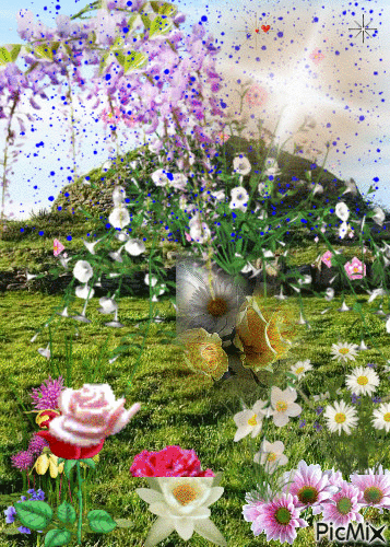 hermoso jardin - GIF animé gratuit