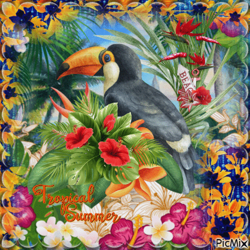 tropical oiseau - GIF animado grátis