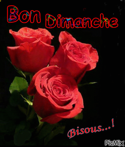 Bon Dimanche - Бесплатный анимированный гифка