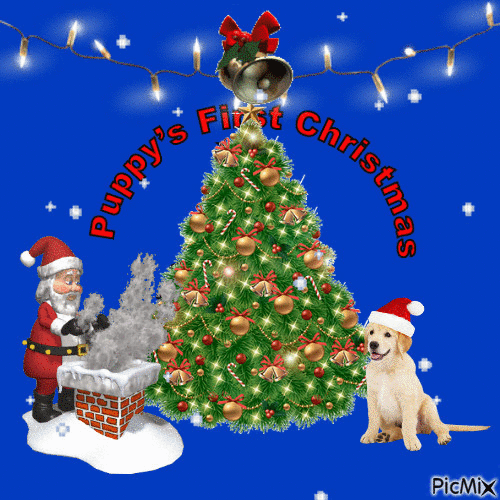 Puppy's 1st Christmas - Free animated GIF