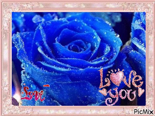 rose love you - GIF animé gratuit