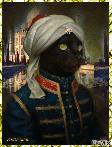 le sultan - GIF animado grátis