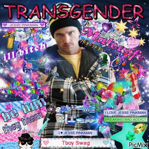 jesse pinkman transgender boyboss - GIF animado gratis