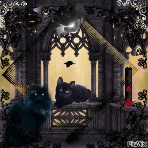 chats noir gothique - GIF animé gratuit