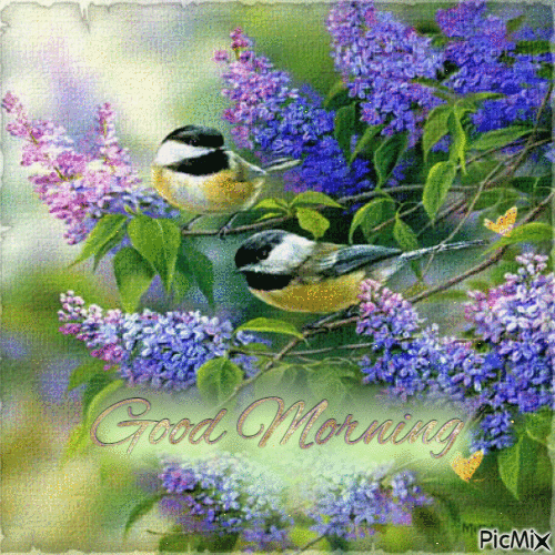 Good morning, lilacs, birds - Gratis animeret GIF