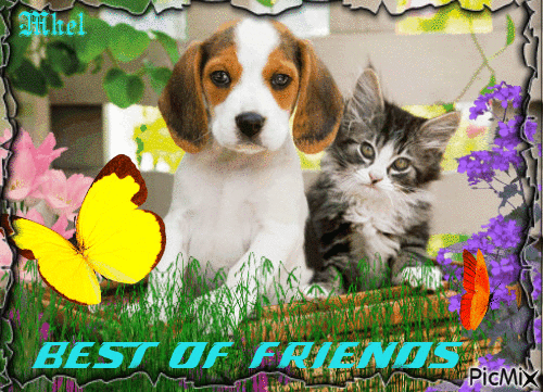 best friends - Gratis animerad GIF