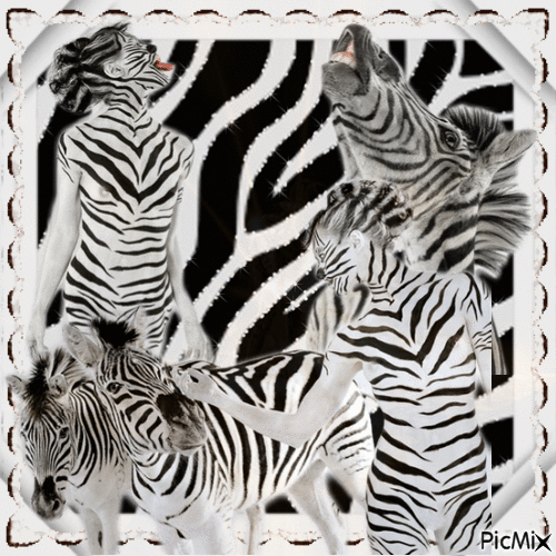 Frau und Zebra - GIF animé gratuit