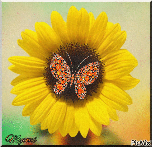 tournesol et papillon - GIF animado grátis