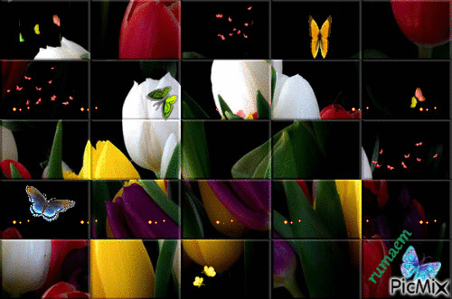 primavera - GIF animado grátis