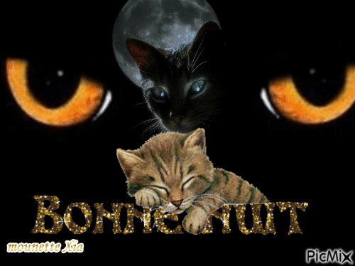 bonne nuit chat - Bezmaksas animēts GIF