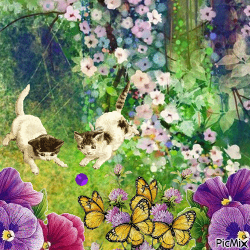 Fleurs et deux chats - Nemokamas animacinis gif