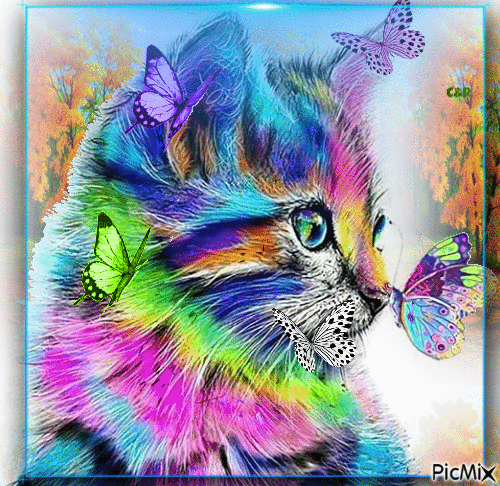 Le chat et le papillon - 無料のアニメーション GIF