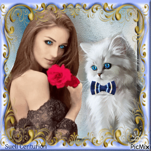 Meu gato de olhos azuis - Ingyenes animált GIF