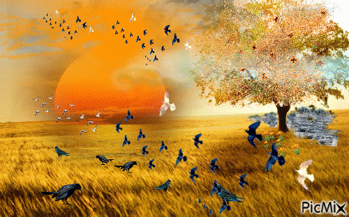 Oiseaux sur le blé - 無料のアニメーション GIF