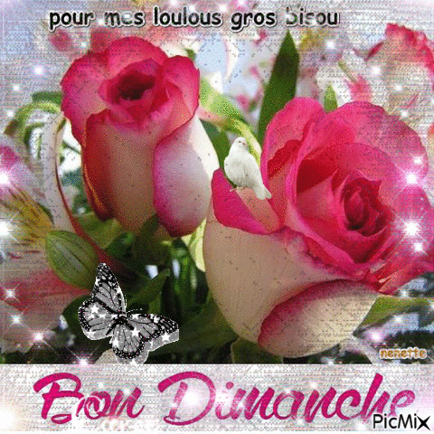 bon dimanche rose - Darmowy animowany GIF