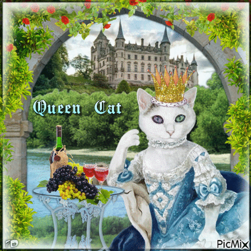 Königin Katze - GIF animé gratuit