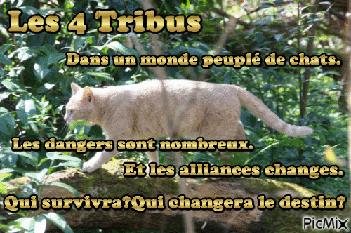 Les 4 Tribus - Δωρεάν κινούμενο GIF