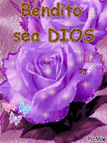 Bendito sea Dios - Zdarma animovaný GIF