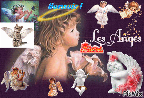 au pays des anges - Free animated GIF