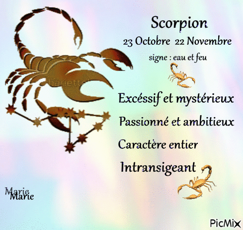 scorpion - Бесплатный анимированный гифка