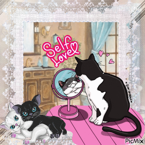 Cats with Mirror - Free animated GIF