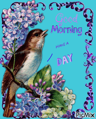 Good Morning, bird - Darmowy animowany GIF