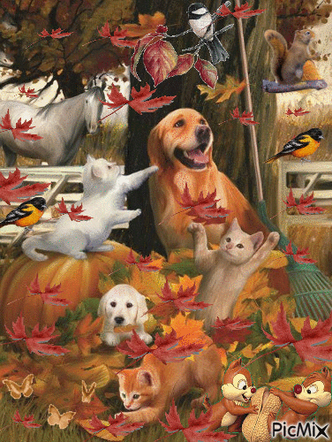 A FALL SCENE WITH ALL THE SQUIRRELS, DOGS, CATS, BUTTERFLIES, BIRDSAND 2 CHIPMUNKS, AROUND A TREE WITH LEAVES FLOATING IN THE WIND. - Bezmaksas animēts GIF