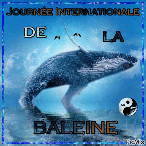 Journée Internationale de la Baleine