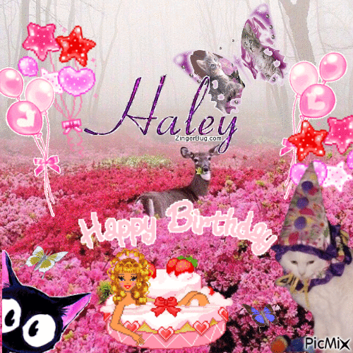 Happy Birthday Haley - Animovaný GIF zadarmo