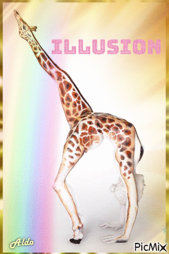 illusion - GIF animé gratuit