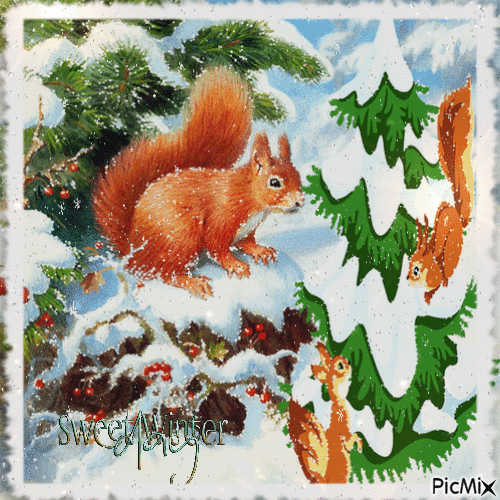 Eichhörnchen im Winter - Free animated GIF