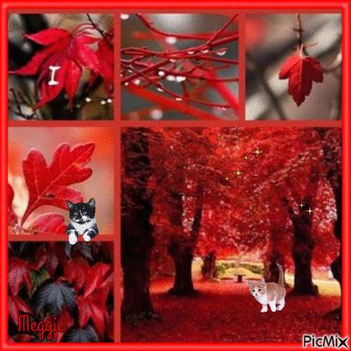 red autumn - Free animated GIF
