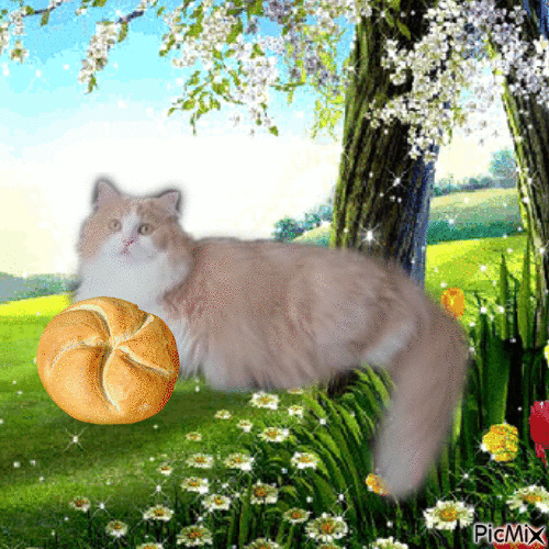DD loves bread - Ingyenes animált GIF