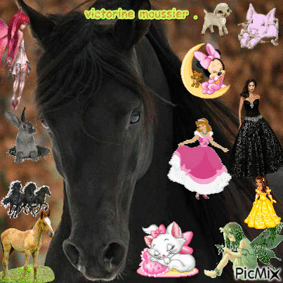 les chevaux et puis les princesses . - Ücretsiz animasyonlu GIF