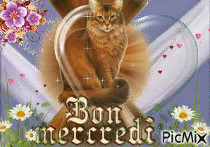 bon mercredi - Безплатен анимиран GIF