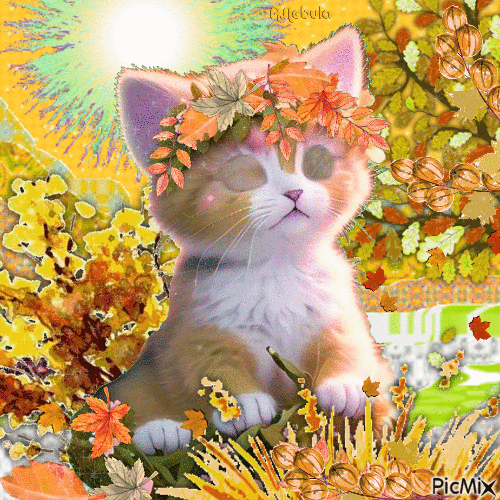 Cat-Autumn - GIF animé gratuit