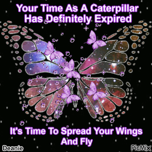 BUTTERFLY SAYING - Free animated GIF