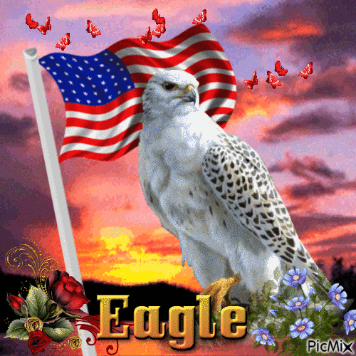 Eagle - Zdarma animovaný GIF