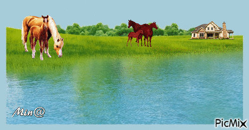 Natur med hästar mm - Animovaný GIF zadarmo