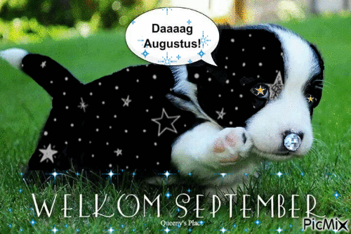 dag augustus welkom september - Безплатен анимиран GIF