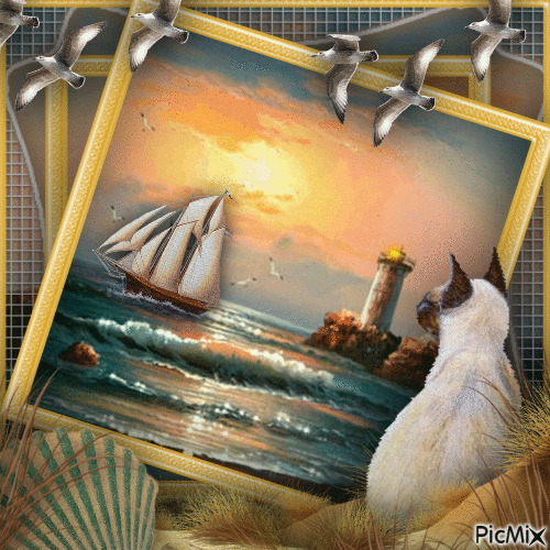 Cat and Sunset-RM-09-22-23 - GIF animasi gratis