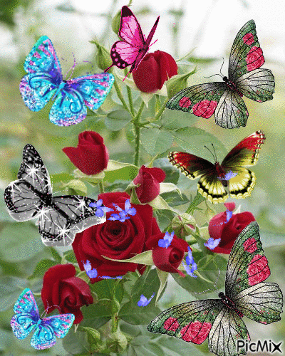 schmetterling - Free animated GIF