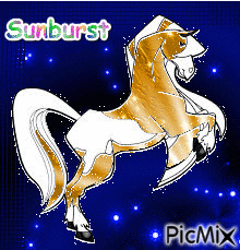 Sunburst horseland - GIF animasi gratis