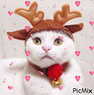 gatito navideño - Ingyenes animált GIF