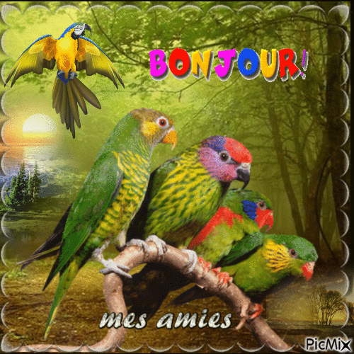 Bonjour les Amies - Бесплатный анимированный гифка